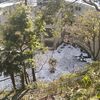 Ajit Mehra - @user496313535 - TikTok