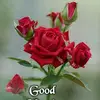 Ajit Menon - @ajit_p_menon - TikTok