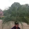 Ajit Nath - @ajitnath054 - TikTok
