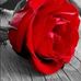 Ajit Paul - Facebook