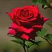 Ajit Pradhan - Facebook