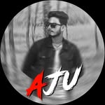 Ajit Pradhan - @sanatani_ajit_f1 - Instagram