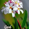 Ajit rawat - @user23303853 - TikTok