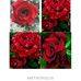 Ajit Sahoo - Facebook