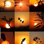 Ajit Sahoo - @ajitsahoo191 - Instagram