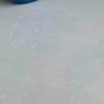 @bisw.ajitseal123 - Instagram