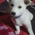 Ajit Singha - Facebook