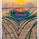 Ajit sood - @ajitsood4 - Instagram