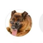 Ajit Suman - @woofchewy_narender14 - Instagram