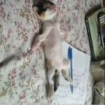 Ajit Suman - @the_visionary07 - Instagram