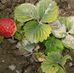 Ajit Thind - Facebook