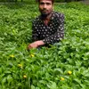 Ajmat Ali - @user5701936992784y - TikTok