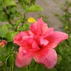 Ajoy Das - @ajoy.das3888 - TikTok