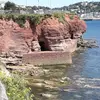 Adams - @akadams1 - TikTok