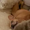 akadams76 - @akadams76 - TikTok