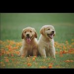 akashajohnson48@gmail.com - @akashajohnson48gmail.com6 - Instagram