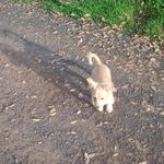 akashajohnson - @akashajohnson5 - Instagram