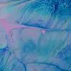 Akashdeep GiLL - @akashdeep.gill8 - TikTok