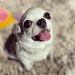 Akeem Fox - @akeemtails - Instagram