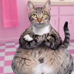 @akeemwallace135 - Instagram
