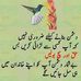 Alisha Shiyaan - Facebook