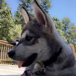 Jethro Akela Smith - @jethro.akela.smith - Instagram
