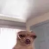 akeliajoness - @akeliajoness - TikTok
