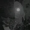 Дарья Макущенко - @brown_eyes_akemi - TikTok