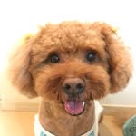 akemi_hamada - @akemi_hamada8 - Instagram