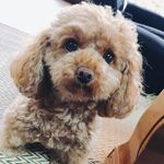 AKEMI ISHIKAWA - @akemi956 - Instagram