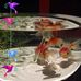 Akemi Ishikawa - Facebook