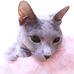Akemi Ishikawa - Facebook