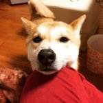 Akemi_1111 - @akemi_kambe - Instagram