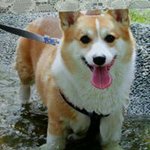 Kawano Akemi - @kawanoakemi - Instagram