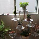 川野明美 - @rosehip.akemi.kawano - Instagram