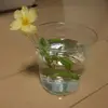 Akeeeeemi - @kondoakemi - TikTok