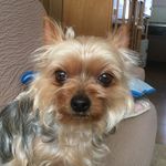 Akemi  Kondo - @konsanchan - Instagram