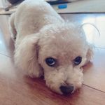 Akemi Kondo - @akejun18 - Instagram