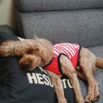 akemi kondo - @akemi.111825 - Instagram