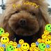Akemi Kondo - Facebook