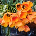 Akemi Kondo - @akemi_kondo - Instagram