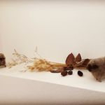 Akemi Kondo - @akemi.kondo - Instagram