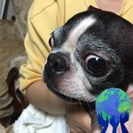 Akemi Kondou - @akemi_kondou - Instagram