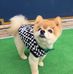 Akemi Machida - Facebook