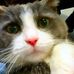 Akemi  Miller - Facebook