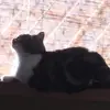 Akemi  Morita - @akemi.m3 - TikTok