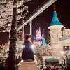 Akemi Morita - @akemi.morita - TikTok
