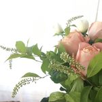 Akemi Mukai - @mukai_akemi - Instagram