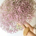 Akemi Mukai - @akemimukai6 - Instagram