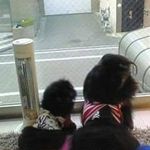 Akemi Nagai - @once_a_day_souri_and - Instagram